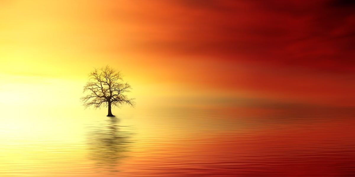 Life Insurance Plans